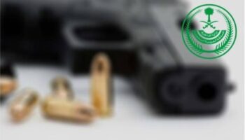 نظام الأسلحة والذخائر