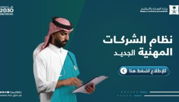 نظام الشركات المهنية