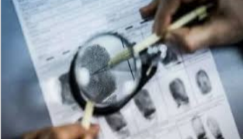 النظام الجزائي لجرائم التزوير