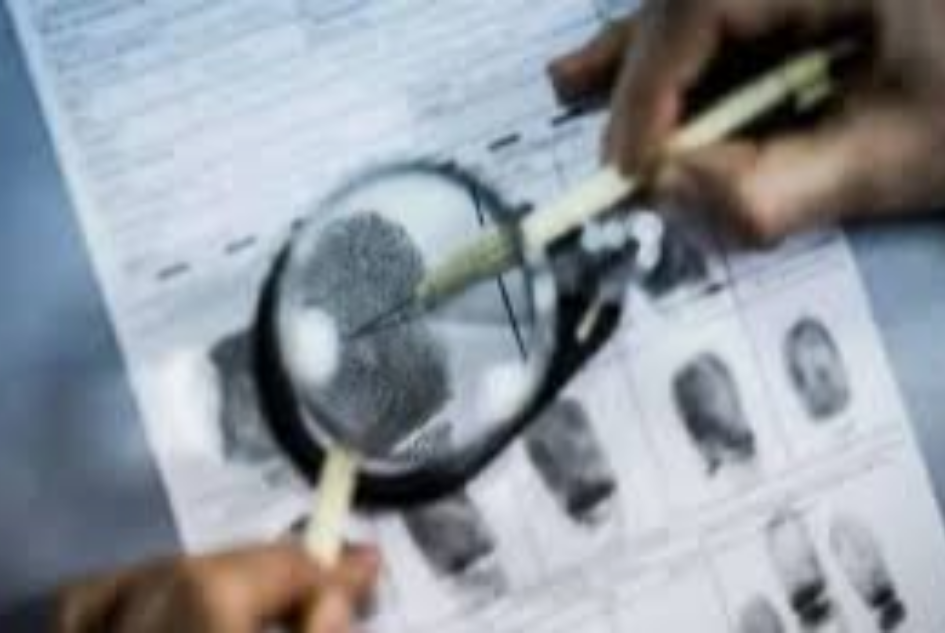 النظام الجزائي لجرائم التزوير