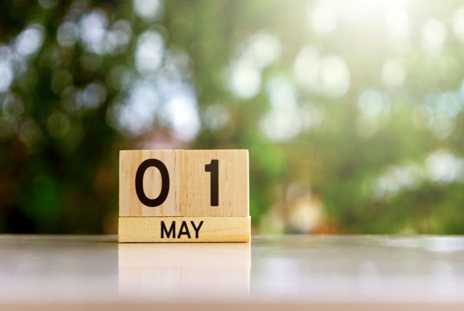 دور الخدمات القانونية في دعم بيئة العمل